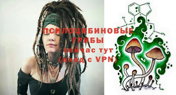 прущий лед Армянск
